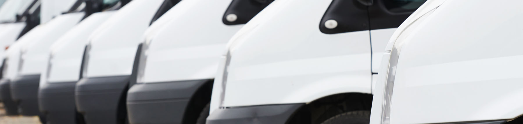 Looking for the perfect Van?